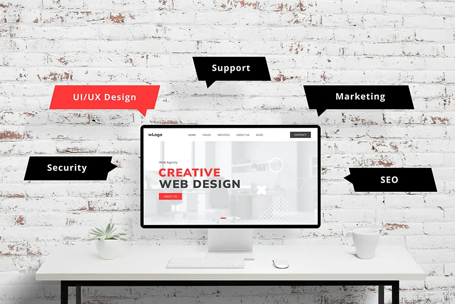 Custom Web Design Solutions